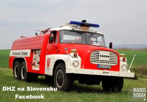 DHZ Hontianske Tesáre - Tatra, foto: Maroš Bobák photo